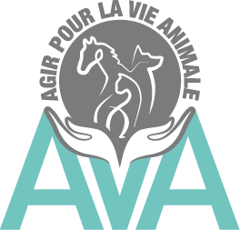 AVA